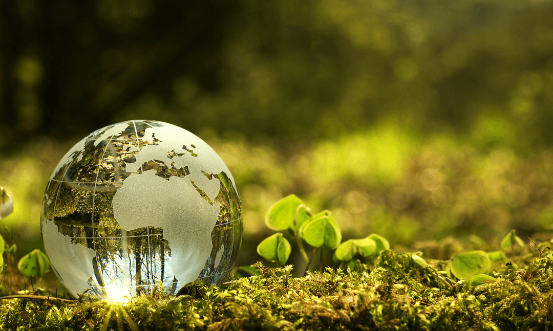 Preparing Africa For Tomorrow