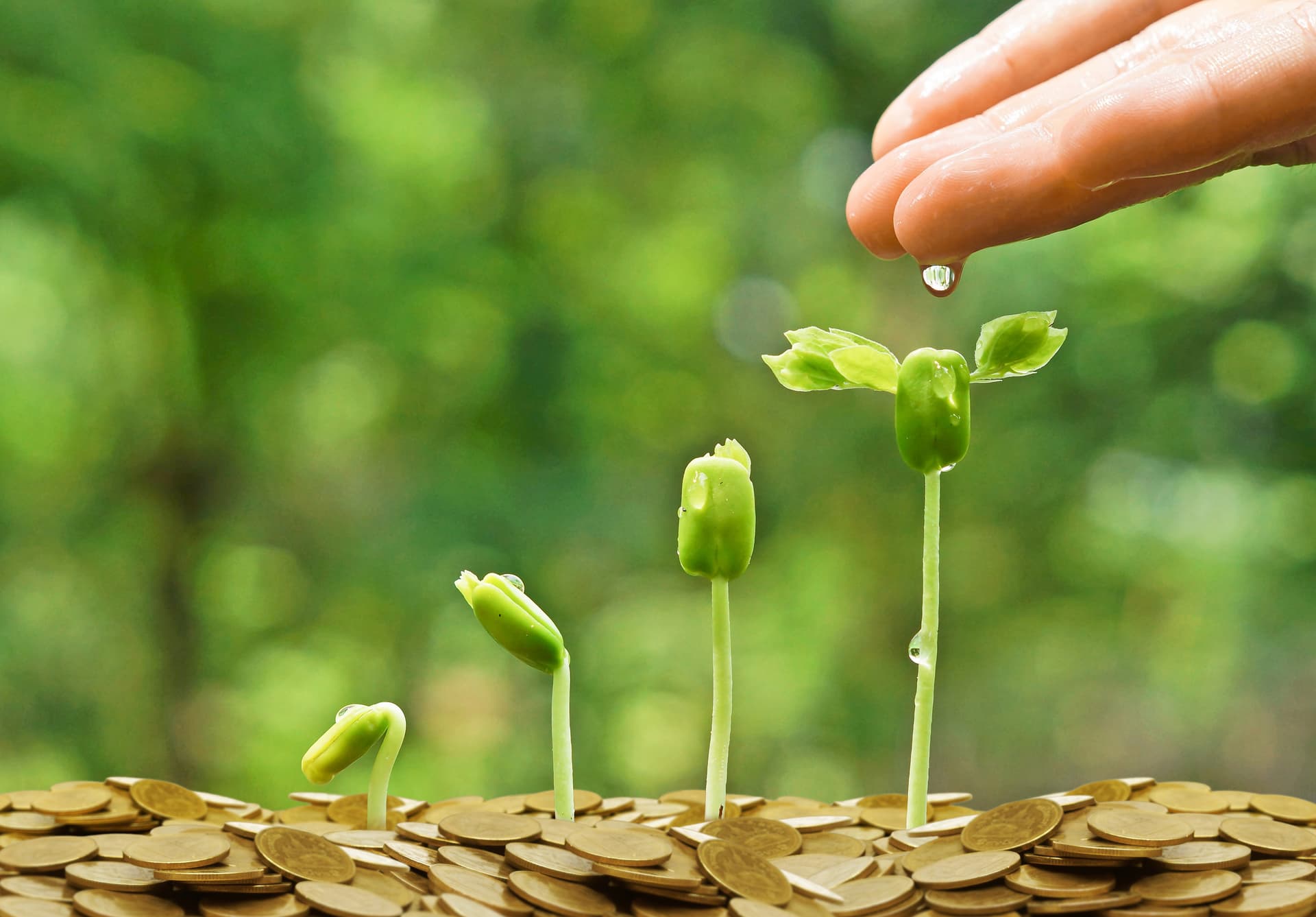 Environmental Economics and Policy Support