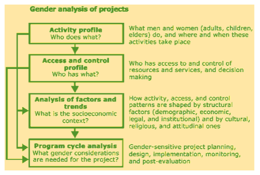 Gender Assessment and Planning